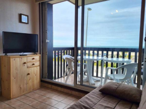 Appartement familial centre ville avec parking et animaux permis - FR-1-465-90